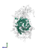 Cytochrome c oxidase subunit 1 in PDB entry 3aso, assembly 2, side view.