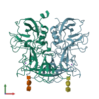 PDB entry 3asp coloured by chain, front view.