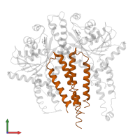 Golgi to ER traffic protein 1 in PDB entry 3b2e, assembly 1, front view.