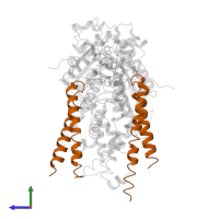 Golgi to ER traffic protein 1 in PDB entry 3b2e, assembly 1, side view.