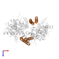 Golgi to ER traffic protein 1 in PDB entry 3b2e, assembly 1, top view.