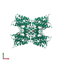 Homo tetrameric assembly 1 of PDB entry 3b2t coloured by chemically distinct molecules, front view.