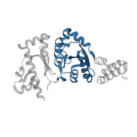 The deposited structure of PDB entry 3b39 contains 2 copies of CATH domain 3.40.1360.10 (Dna Topoisomerase Vi A Subunit; Chain: A, domain 2) in DNA primase. Showing 1 copy in chain C [auth A].