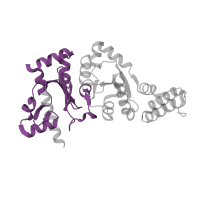 The deposited structure of PDB entry 3b39 contains 2 copies of Pfam domain PF08275 (DNA primase catalytic core, N-terminal domain) in DNA primase. Showing 1 copy in chain C [auth A].