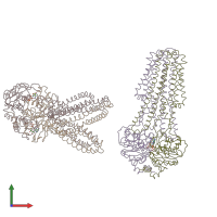 PDB entry 3b5z coloured by chain, front view.