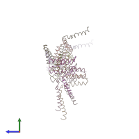 PDB entry 3b61 coloured by chain, side view.