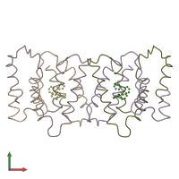 PDB entry 3b62 coloured by chain, front view.