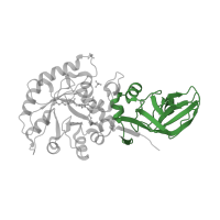 The deposited structure of PDB entry 3b8t contains 4 copies of Pfam domain PF00842 (Alanine racemase, C-terminal domain) in Alanine racemase, biosynthetic. Showing 1 copy in chain A.