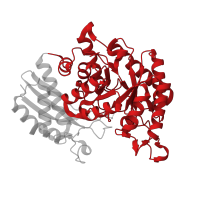 The deposited structure of PDB entry 3b97 contains 4 copies of CATH domain 3.20.20.120 (TIM Barrel) in Alpha-enolase. Showing 1 copy in chain C.