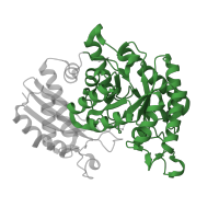 The deposited structure of PDB entry 3b97 contains 4 copies of Pfam domain PF00113 (Enolase, C-terminal TIM barrel domain) in Alpha-enolase. Showing 1 copy in chain C.