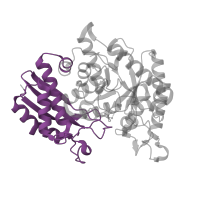 The deposited structure of PDB entry 3b97 contains 4 copies of Pfam domain PF03952 (Enolase, N-terminal domain) in Alpha-enolase. Showing 1 copy in chain C.