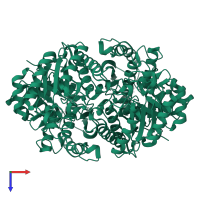 Alpha-enolase in PDB entry 3b97, assembly 1, top view.