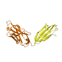 The deposited structure of PDB entry 3bae contains 2 copies of CATH domain 2.60.40.10 (Immunoglobulin-like) in Ig-like domain-containing protein. Showing 2 copies in chain B [auth H].
