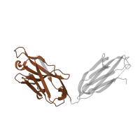The deposited structure of PDB entry 3bae contains 1 copy of Pfam domain PF07686 (Immunoglobulin V-set domain) in Ig-like domain-containing protein. Showing 1 copy in chain B [auth H].