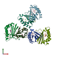 PDB entry 3bb5 coloured by chain, front view.