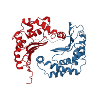 The deposited structure of PDB entry 3bcc contains 2 copies of CATH domain 3.30.830.10 (Cytochrome Bc1 Complex; Chain A, domain 1) in Cytochrome b-c1 complex subunit 2, mitochondrial. Showing 2 copies in chain B.