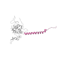 The deposited structure of PDB entry 3bcc contains 1 copy of CATH domain 1.20.5.100 (Single alpha-helices involved in coiled-coils or other helix-helix interfaces) in Cytochrome c1, heme protein, mitochondrial. Showing 1 copy in chain D.