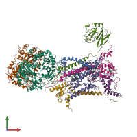 PDB entry 3bcc coloured by chain, front view.