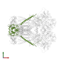 Cytochrome b-c1 complex subunit Rieske, mitochondrial in PDB entry 3bcc, assembly 1, front view.