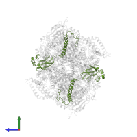 Cytochrome b-c1 complex subunit Rieske, mitochondrial in PDB entry 3bcc, assembly 1, side view.