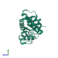 Small ribosomal subunit protein uS2 in PDB entry 3bch, assembly 1, side view.