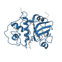 The deposited structure of PDB entry 3bcn contains 2 copies of Pfam domain PF00112 (Papain family cysteine protease) in Ervatamin-A. Showing 1 copy in chain A.