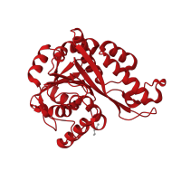 The deposited structure of PDB entry 3bd0 contains 4 copies of CATH domain 3.40.830.10 (Protocatechuate 4,5-dioxygenase; Chain B) in Protein MEMO1. Showing 1 copy in chain A.