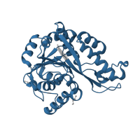The deposited structure of PDB entry 3bd0 contains 4 copies of Pfam domain PF01875 (Memo-like protein) in Protein MEMO1. Showing 1 copy in chain A.