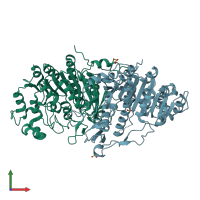 PDB entry 3bdf coloured by chain, front view.