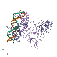 PDB entry 3bdn coloured by chain, front view.