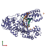 PDB entry 3bdp coloured by chain, front view.