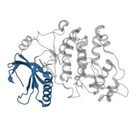 The deposited structure of PDB entry 3beg contains 1 copy of CATH domain 3.30.200.20 (Phosphorylase Kinase; domain 1) in SRSF protein kinase 1. Showing 1 copy in chain A.