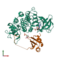 PDB entry 3beg coloured by chain, front view.