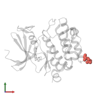 Modified residue SEP in PDB entry 3bgp, assembly 1, front view.