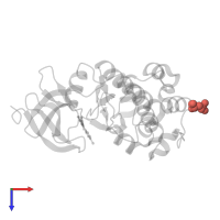 Modified residue SEP in PDB entry 3bgp, assembly 1, top view.
