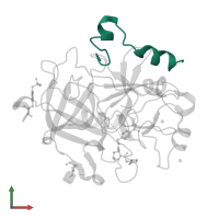 Thrombin light chain in PDB entry 3biu, assembly 1, front view.