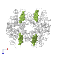 PROTOPORPHYRIN IX CONTAINING FE in PDB entry 3bj3, assembly 1, top view.