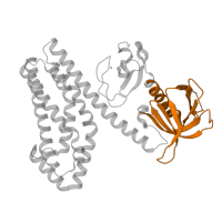 The deposited structure of PDB entry 3bji contains 2 copies of Pfam domain PF00169 (PH domain) in Proto-oncogene vav. Showing 1 copy in chain A.