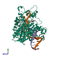 PDB entry 3bjy coloured by chain, side view.