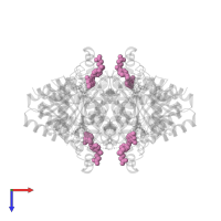 FOLIC ACID in PDB entry 3bmc, assembly 1, top view.