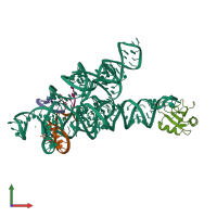 PDB entry 3bo2 coloured by chain, front view.