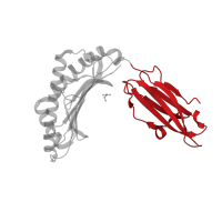 The deposited structure of PDB entry 3bp4 contains 1 copy of CATH domain 2.60.40.10 (Immunoglobulin-like) in HLA class I histocompatibility antigen, B alpha chain. Showing 1 copy in chain A.