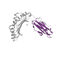 The deposited structure of PDB entry 3bp4 contains 1 copy of Pfam domain PF07654 (Immunoglobulin C1-set domain) in HLA class I histocompatibility antigen, B alpha chain. Showing 1 copy in chain A.