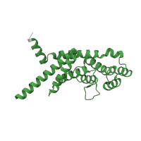 The deposited structure of PDB entry 3bqo contains 1 copy of SCOP domain 63601 (Telomeric repeat binding factor (TRF) dimerisation domain) in Telomeric repeat-binding factor 1. Showing 1 copy in chain A.
