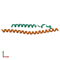 Hetero dimeric assembly 2 of PDB entry 3brv coloured by chemically distinct molecules, front view.