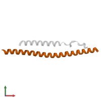 NF-kappa-B essential modulator in PDB entry 3brv, assembly 2, front view.