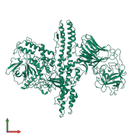 PDB entry 3bta coloured by chain, front view.