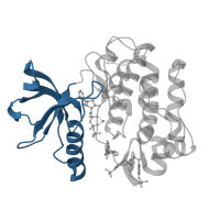 The deposited structure of PDB entry 3bu5 contains 1 copy of CATH domain 3.30.200.20 (Phosphorylase Kinase; domain 1) in Insulin receptor subunit beta. Showing 1 copy in chain A.