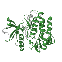 The deposited structure of PDB entry 3bu5 contains 1 copy of Pfam domain PF07714 (Protein tyrosine and serine/threonine kinase) in Insulin receptor subunit beta. Showing 1 copy in chain A.