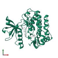 Insulin receptor subunit beta in PDB entry 3bu5, assembly 1, front view.